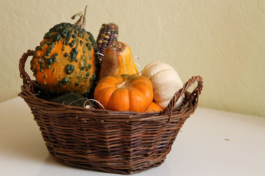 Decorative, Squashes, Pumpkin, Crop, decorative squashes, basket HD wallpaper