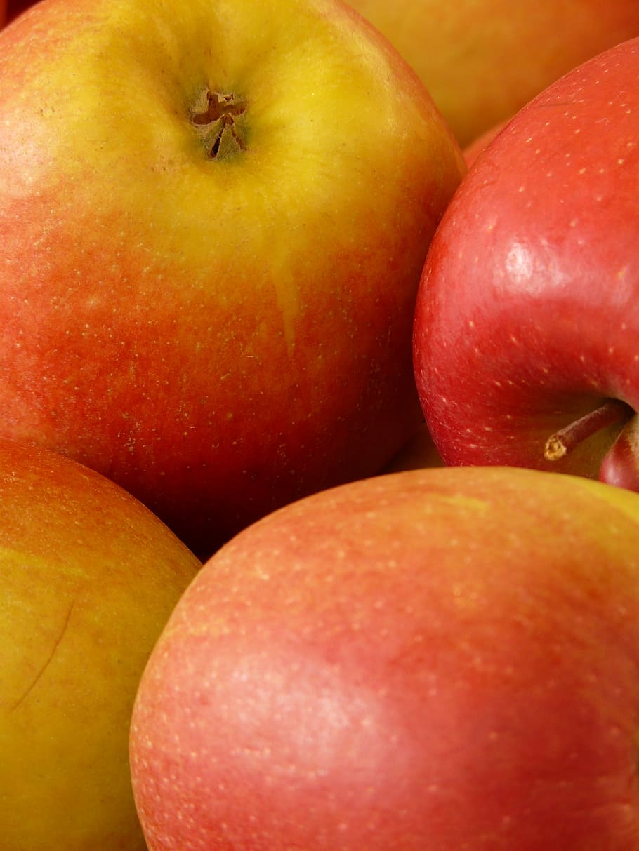 apple, red, healthy, vitamins, fruit, food, close, macro, nutrients HD wallpaper