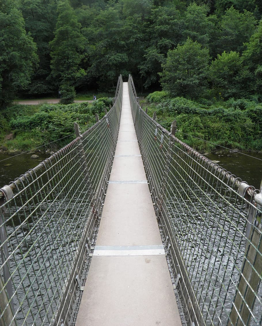 swing bridge, river, nature, water, rope, crossing, suspension HD wallpaper
