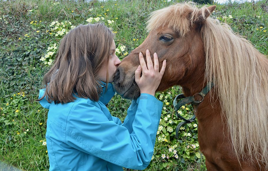 girl shetland pony, kisses pony girl, complicities girl pony