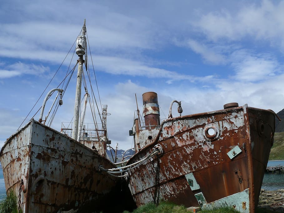 ship wreck, southern ocean, antarctica, whalers, grytvikken, HD wallpaper