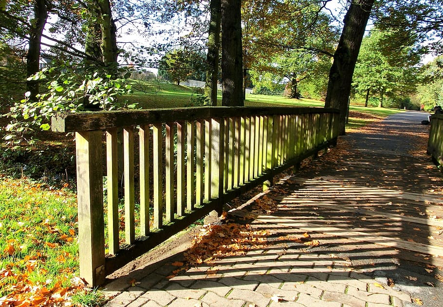 Bridge, Forest, Nature, tree, outdoors, wood - material, day HD wallpaper
