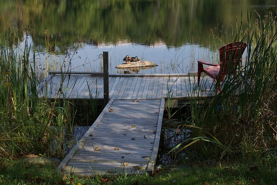 lake, ducks, dock, chair, water, plant, grass, nautical vessel, HD wallpaper