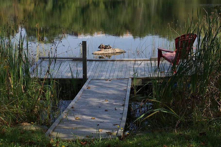 lake, ducks, dock, chair, water, plant, grass, nautical vessel HD wallpaper