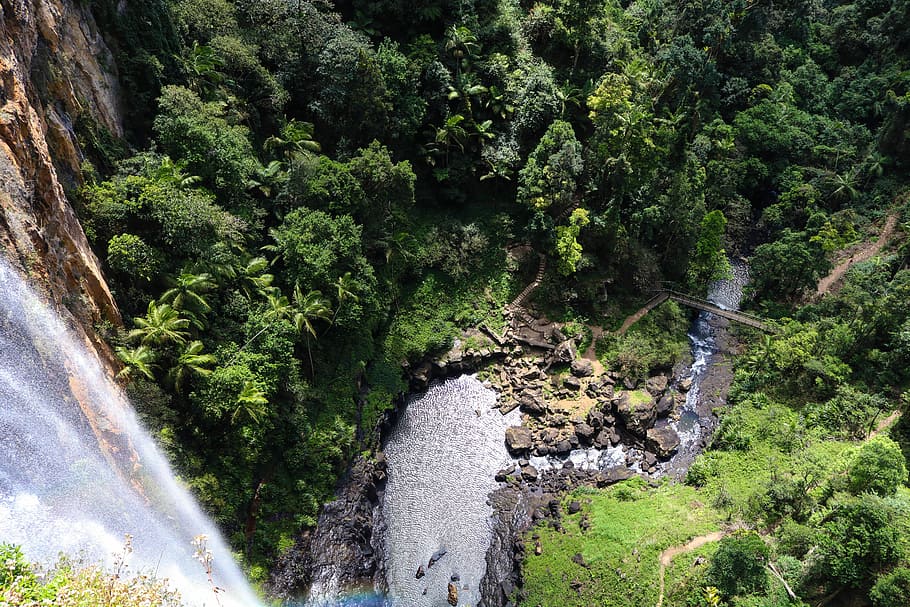 aerial photography of waterfalls, tree, wood, forest, bridge HD wallpaper