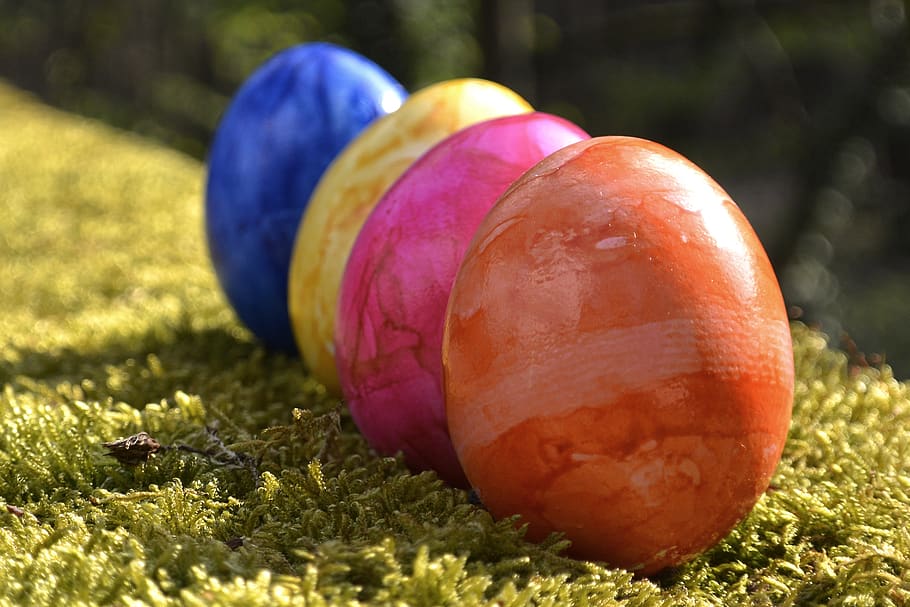 easter eggs, colorful, decoration, happy easter, colored, easter egg painting HD wallpaper