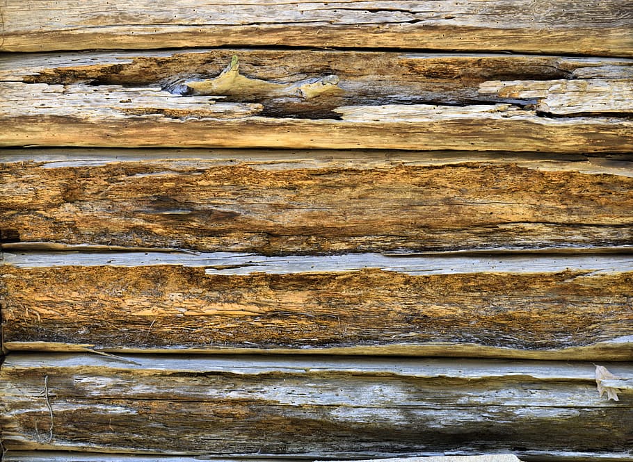 Wooden, Wall, Background, Backdrop, exterior, building, design HD wallpaper