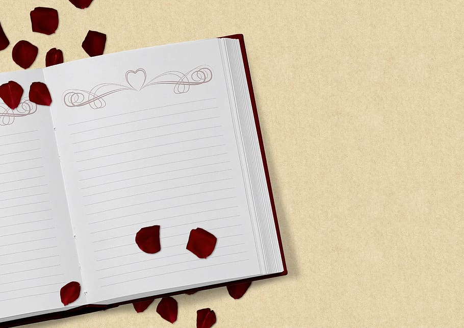 white ruled book with red flower petals, rose flower, wedding, HD wallpaper