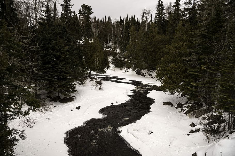 Cascade river winding through the forest in the winter at Cascade River State Park, Minnesota HD wallpaper
