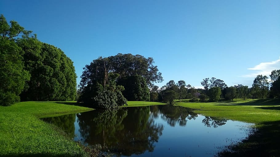 green, reflection, blue, pond, water, tree, plant, lake, tranquility HD wallpaper