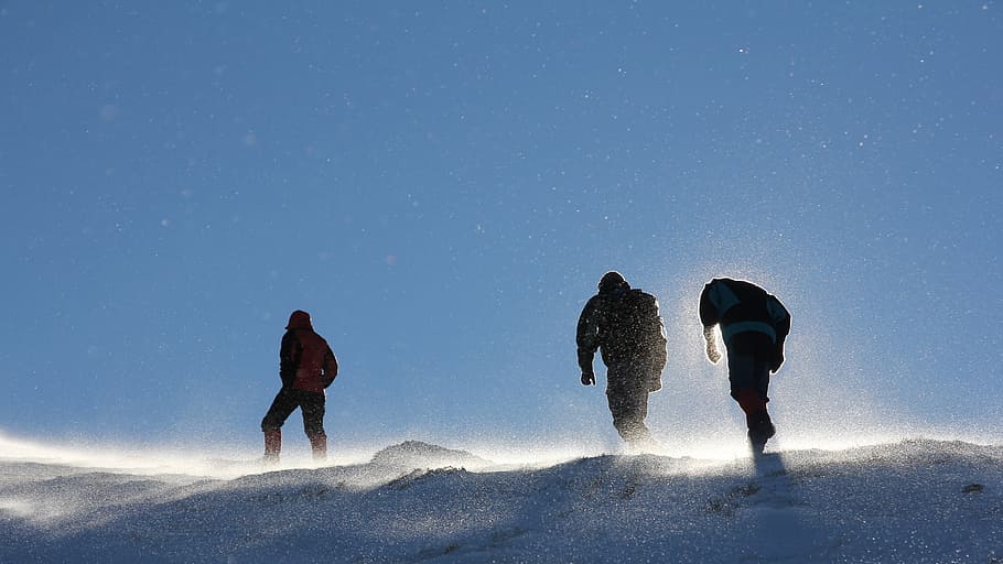 low angle of three men climbing snowy mountain, equip, winter HD wallpaper