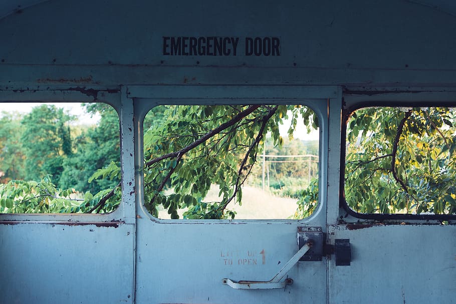 branches, door, door handle, emergency exit, leaves, old, trees HD wallpaper