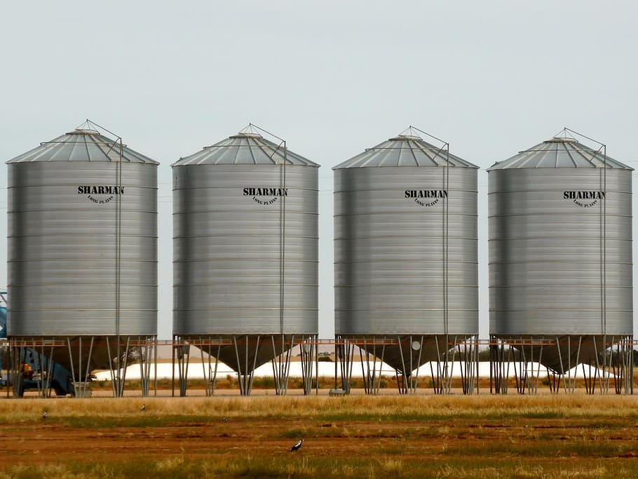 four industrial tanks, silo, wheat storage, harvest, agriculture, HD wallpaper