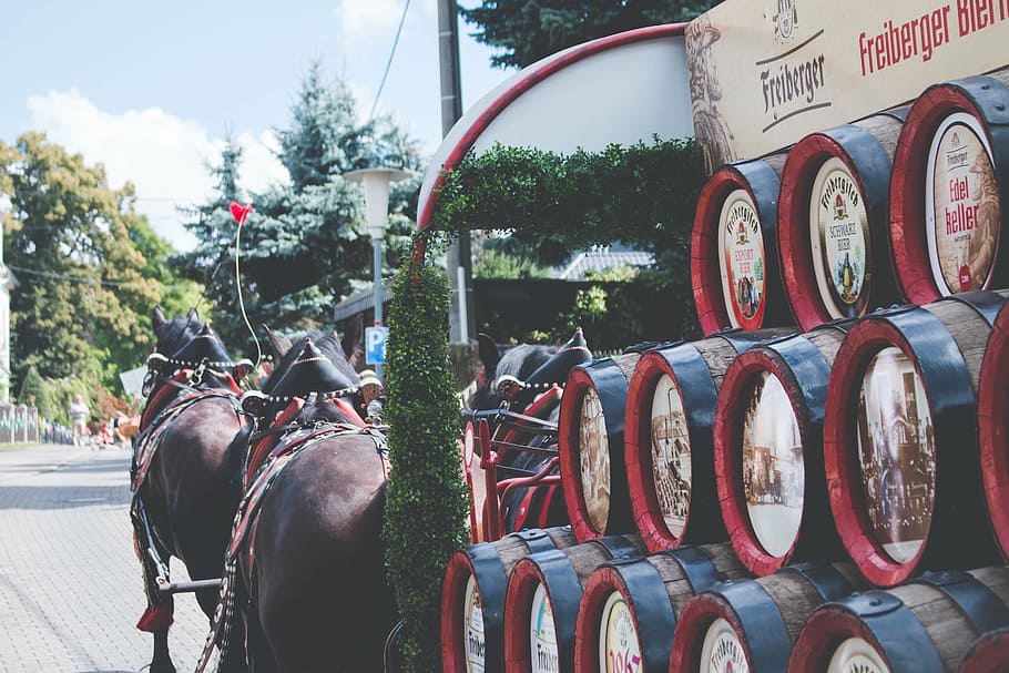 close-up photo of Freiberger barrel lot in horse carriage, two, HD wallpaper