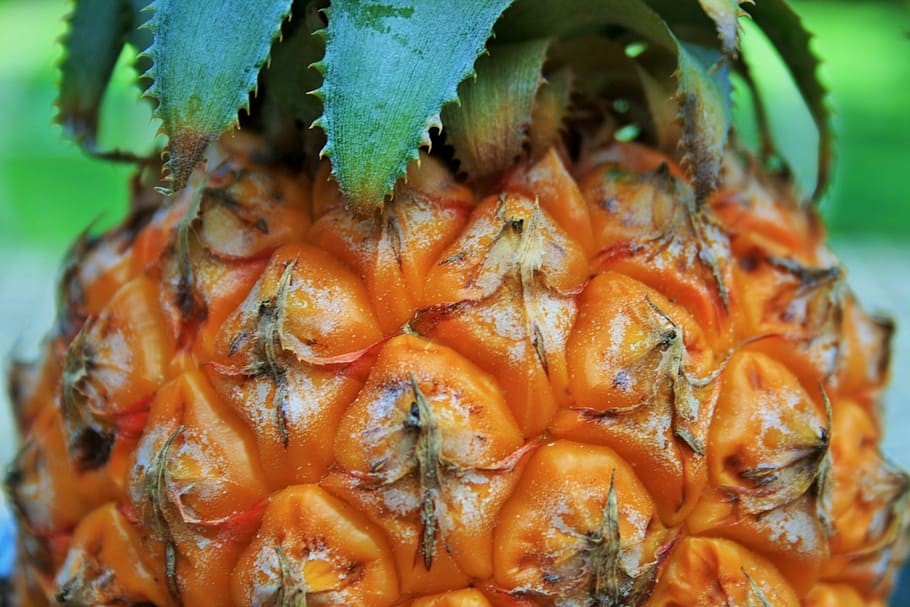 pineapple, fruit, tropical, healthy, fresh, sweet, organic HD wallpaper