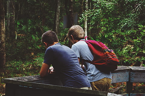 two men leaning on fence, two men leaning on gray wooden fence HD wallpaper