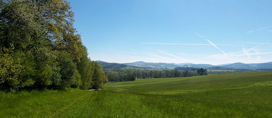 nature, landscape, meadow, trees, bohemia, plant, sky, grass HD wallpaper