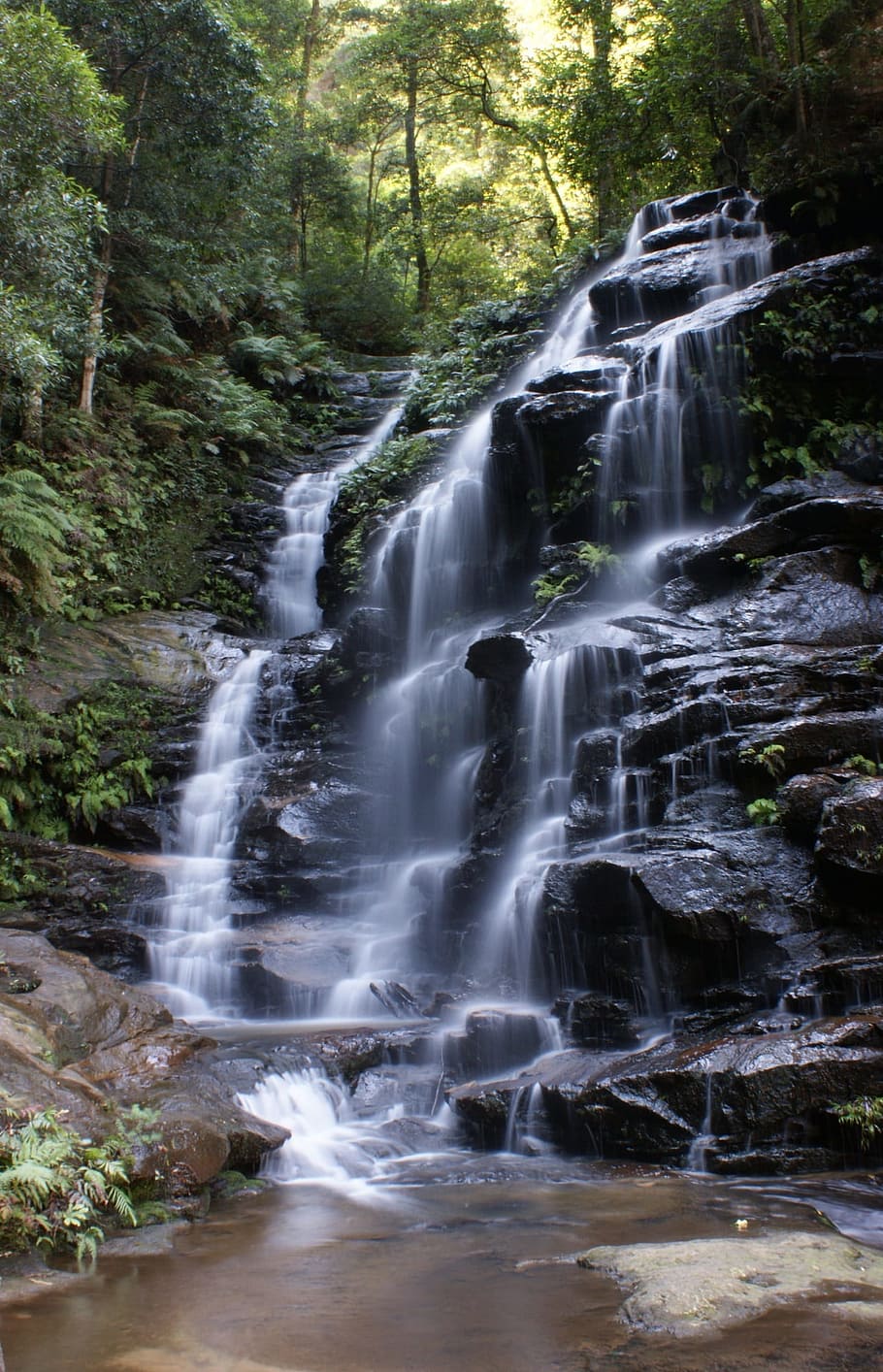 photo of waterfalls, empress falls, cascade, australia, flowing HD wallpaper