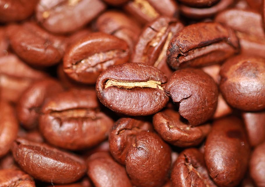macro shot photography of black coffee beans, roasted, aroma HD wallpaper