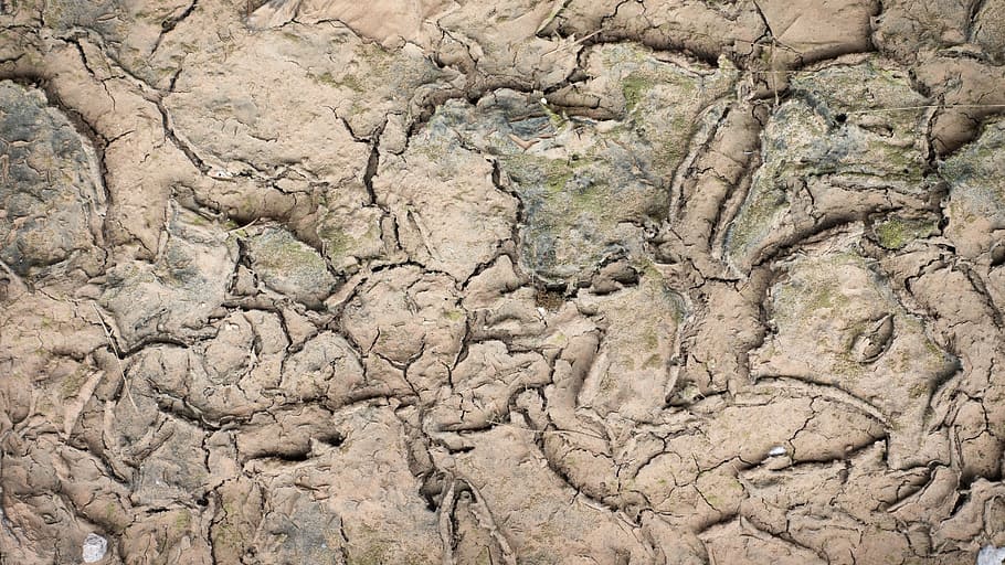 Texture, Background, Soil, drought, cracks, weathered, design HD wallpaper