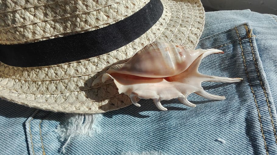 Shell, Sea, Jeans, hat, fashion, cowboy, no People, clothing HD wallpaper