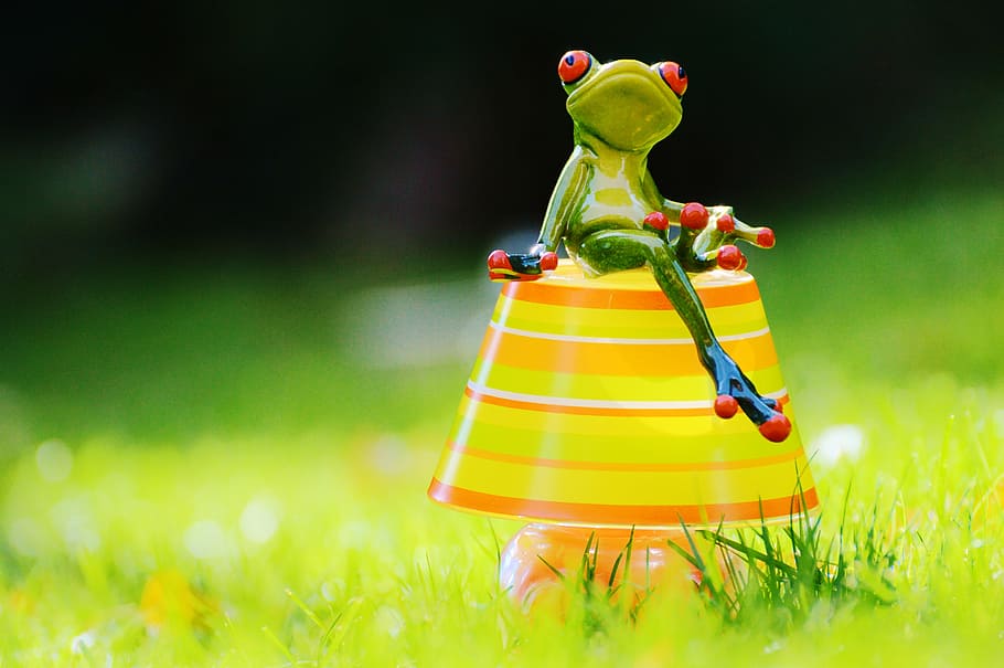 lamp, frog, romantic, stripes, summer colors, lampshade, mood HD wallpaper