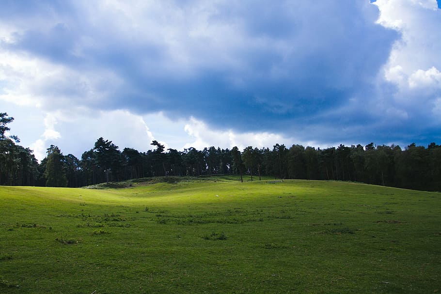 landscape, nature, clouds, meadow, landscapes, trees, grass HD wallpaper