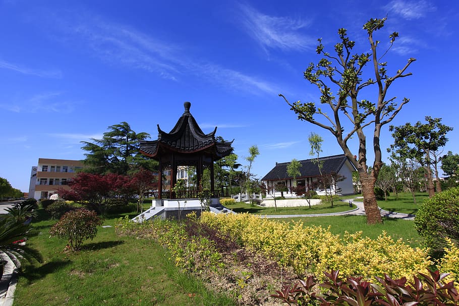 Garden, Lawn, Campus, asia, architecture, cultures, famous Place HD wallpaper