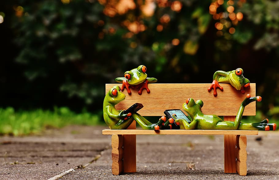 frogs, computer, bank, bench, relaxed, figure, funny, rest HD wallpaper