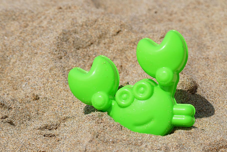 beach, crab, toy, nature, sand, sea, coast, summer, water, tropical