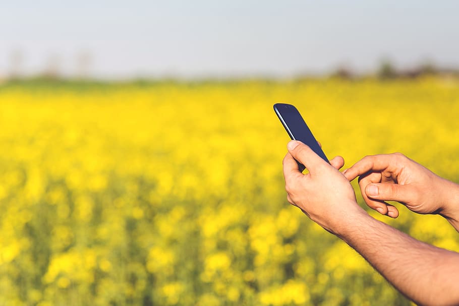 Smartphone Acer Jade S in the hands of a man on a background of yellow flowers, HD wallpaper