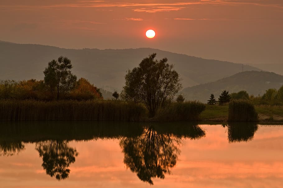 green leafed tree near body of water, sunset, autumn, evening HD wallpaper