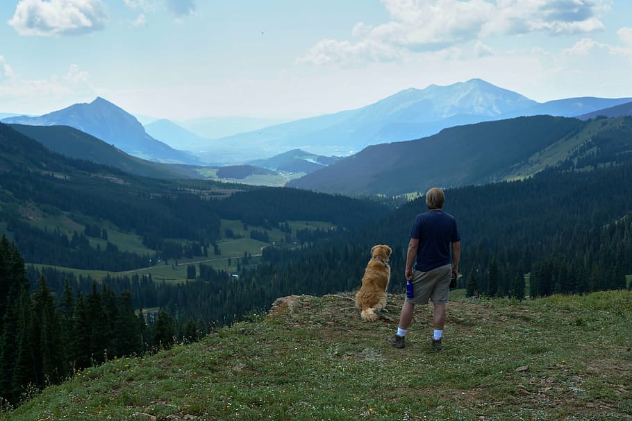 mountain, view, hike, dog, landscape, sky, blue, valley, nature HD wallpaper