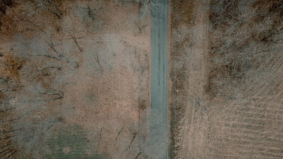 untitled, aerial view, road, track, tree, woodland, backgrounds HD wallpaper