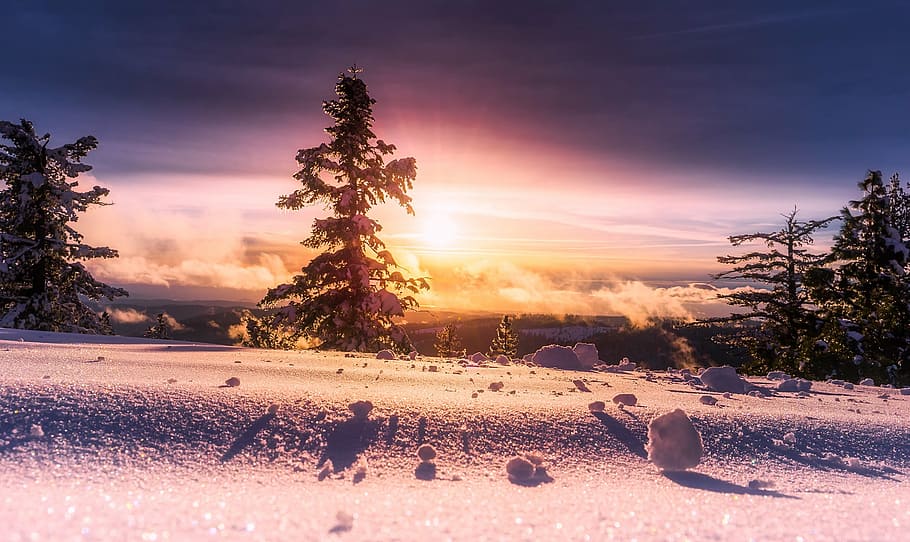 HD wallpaper: landscape photo of snow and green pine trees during ...