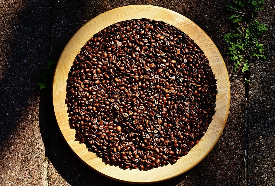 bowl of roasted coffee beans on brown soil close-up photography HD wallpaper