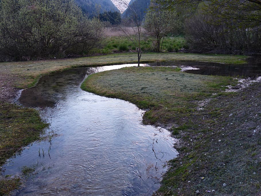 river, water, meander, river loop, of course, biotope, moor HD wallpaper