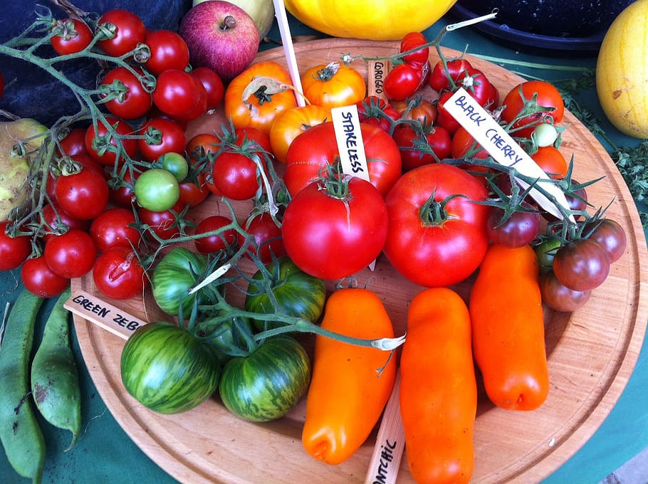 vegetables, castle hex, tomatoes, food and drink, healthy eating HD wallpaper