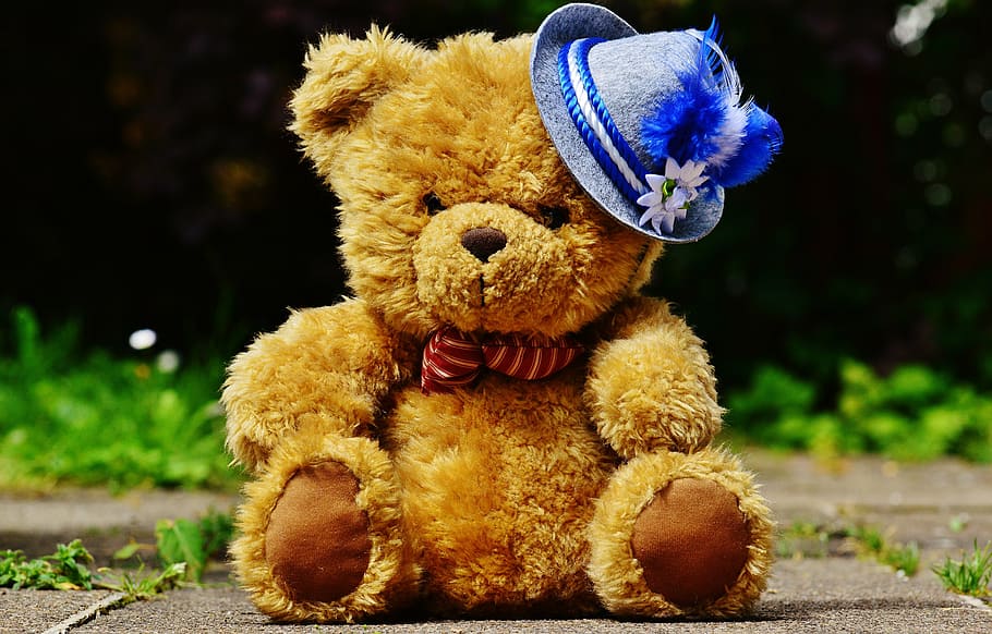 brown bear with blue hat plush toy, oktoberfest, teddy, bavaria, HD wallpaper