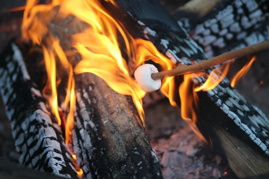 smore on brown wooden stick, black, fire, marshmallow, orange HD wallpaper