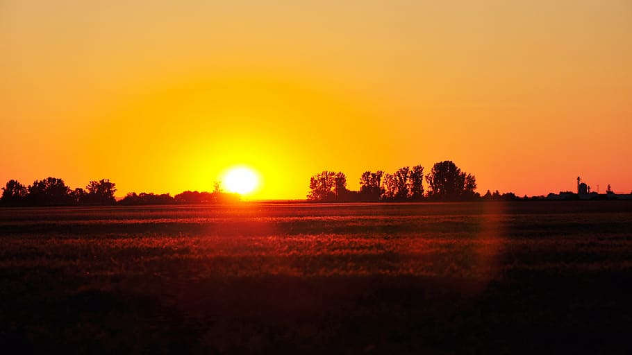 nightfall, light, sunset, mystic, nature, rural Scene, tree HD wallpaper