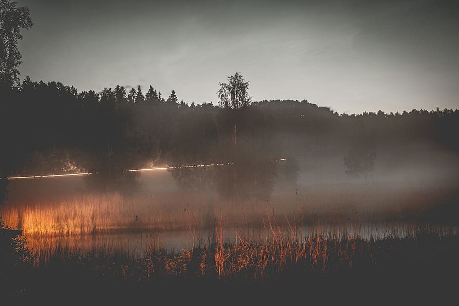 trees near water with sun rays, foggy lake during daytime, Photography HD wallpaper