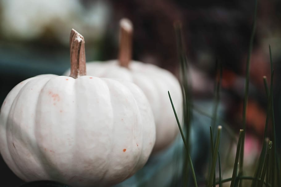 two white cabbages, pumpkin, gourd, squash, grass, food and drink HD wallpaper