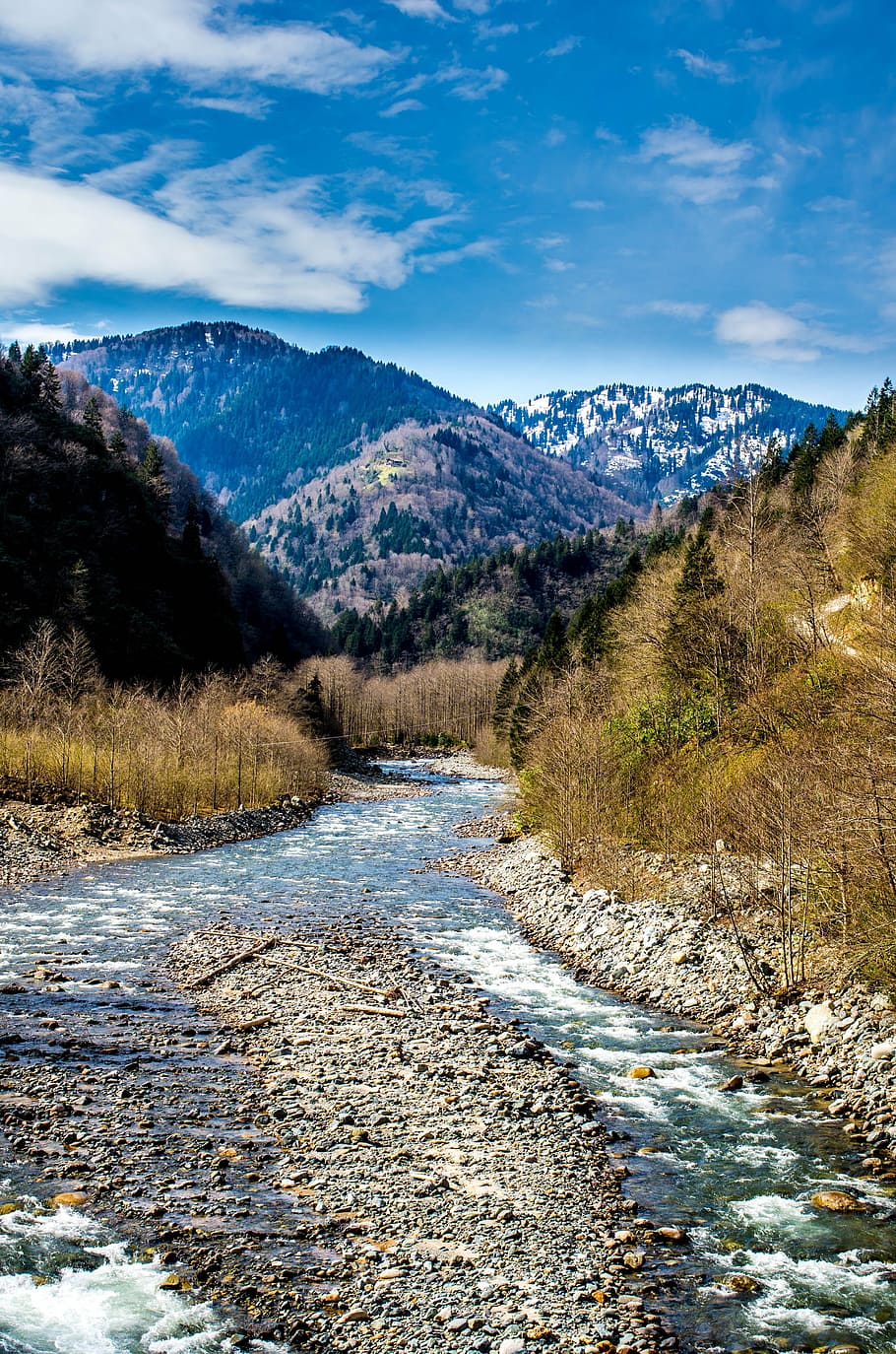 dd, streaming, landscape, green, blue, water, cloud, natural life HD wallpaper