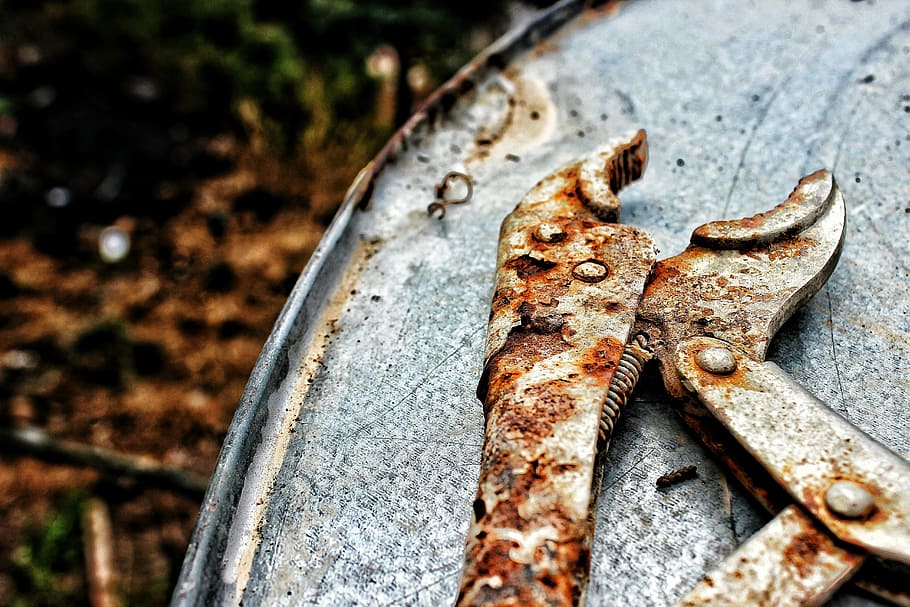 pliers, rusted, tool, old, pincers, no people, outdoors, day HD wallpaper