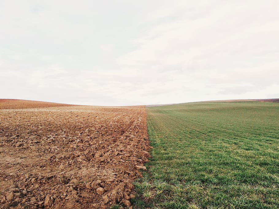 green grass field and brown soil, green grass field under the clear sky, HD wallpaper