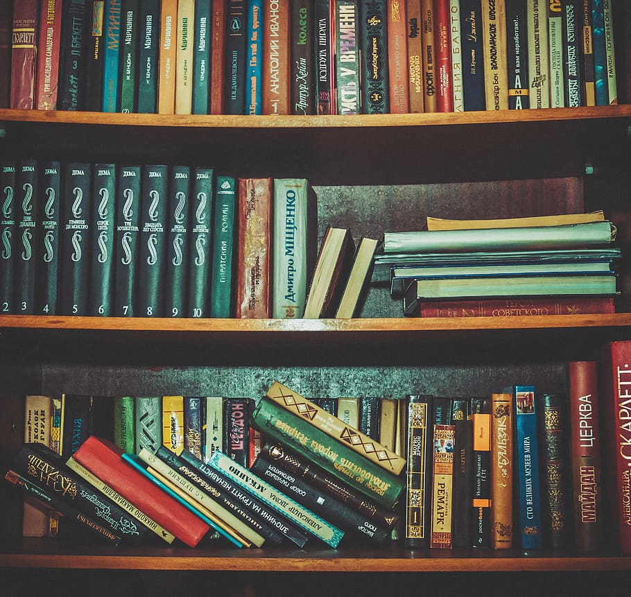 assorted book lot on brown wooden tiered shelf, books, school HD wallpaper