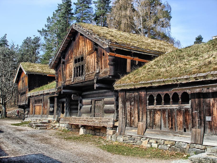 brown and green wooden house, Oslo, Norway, Landscape, Scenic