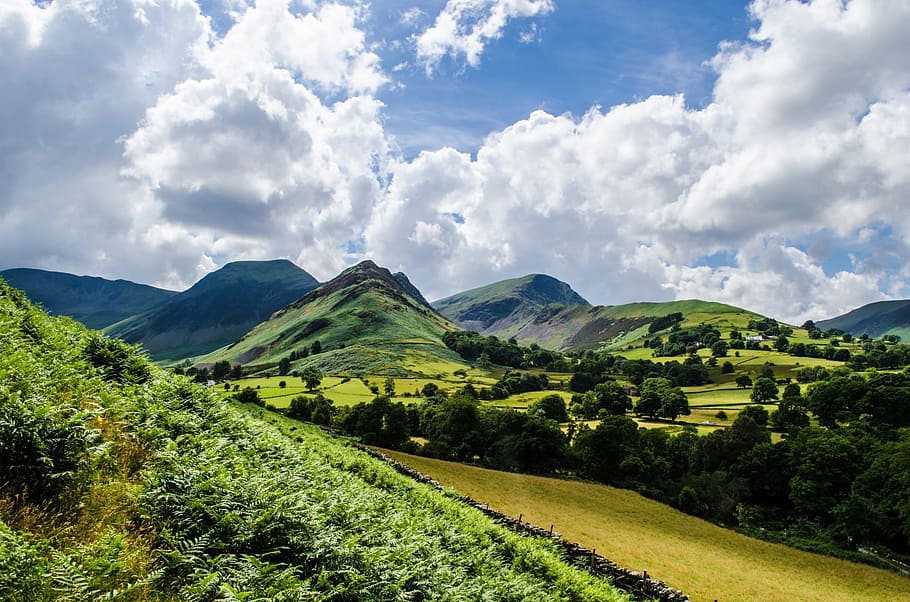 landscape, spring, summer, england, green, nice, trees, nature HD wallpaper