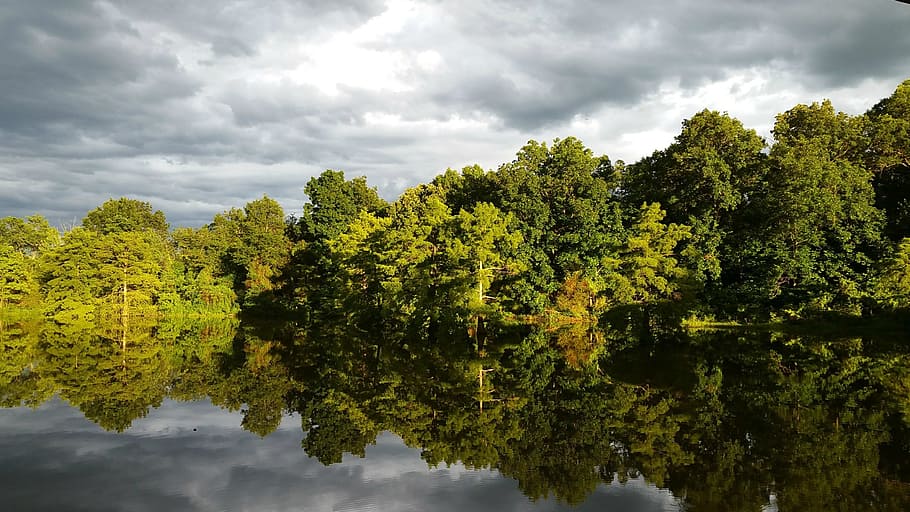 trees near lake under gray clouds, nature, leaf, landscape HD wallpaper